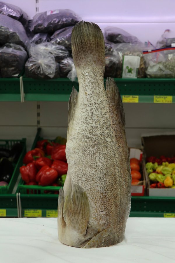 Gros Mérou - Thiof sans tête - Carton de 10 kg